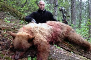 Outfitted Bear Hunts Idaho