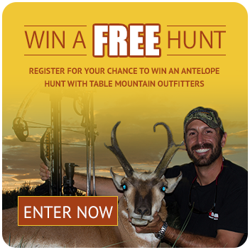 win-free-hunt