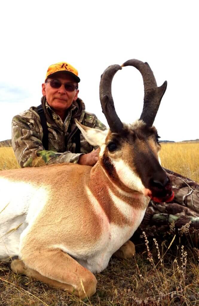 Rifle Town Antelope