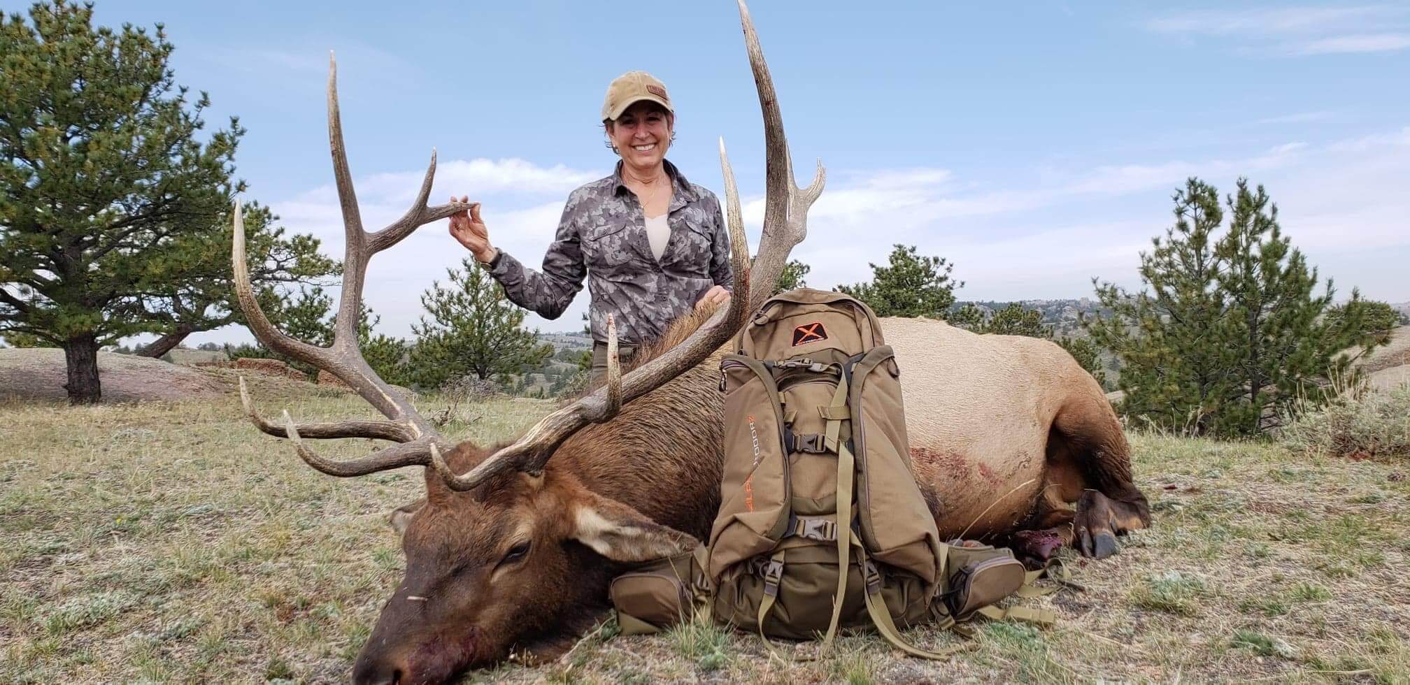 guided elk hunting trips in wyoming