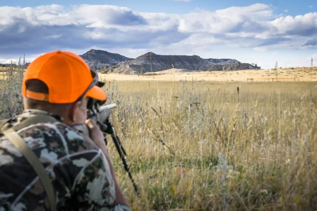 Hunting Antelope