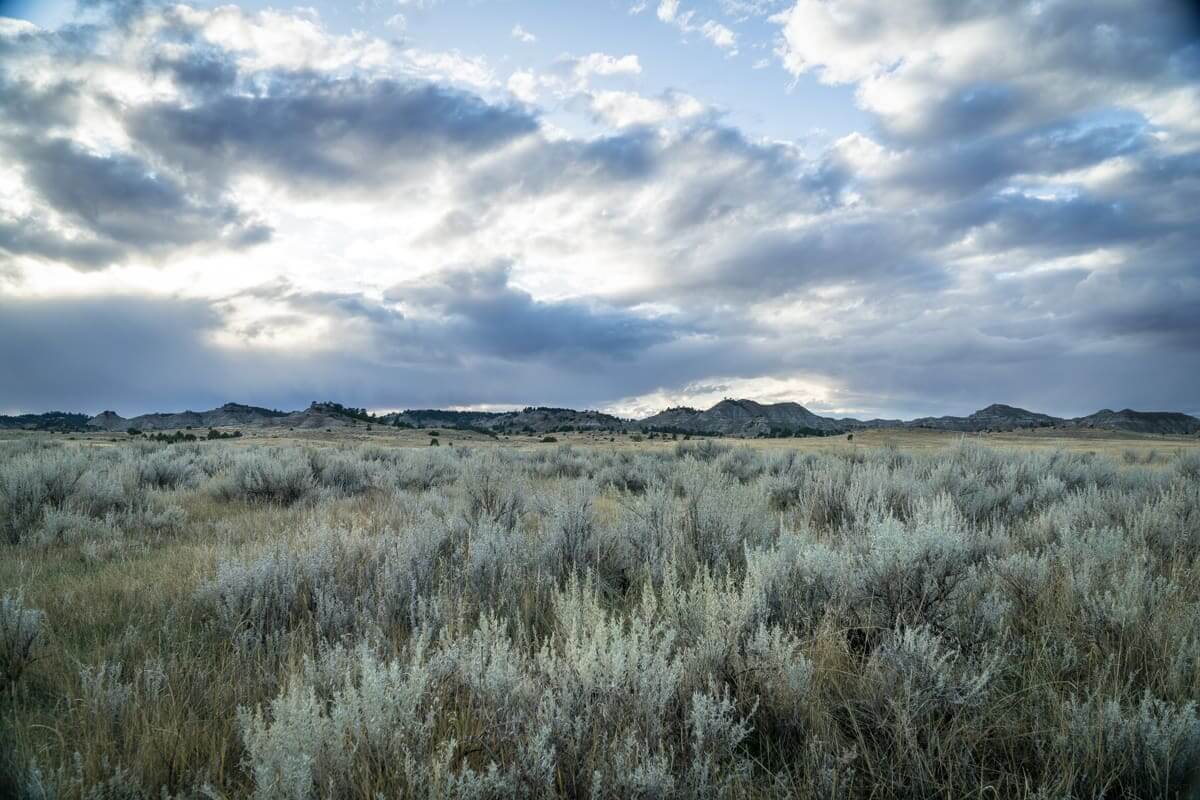 Wyoming Antelope Country