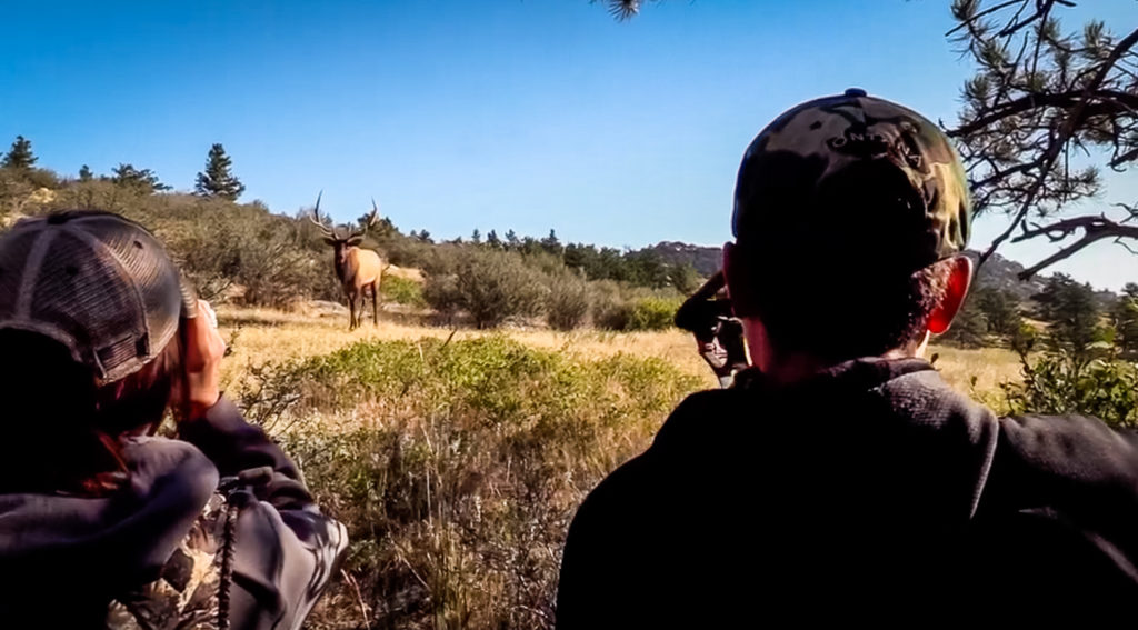 Guided Archery Elk Hunt