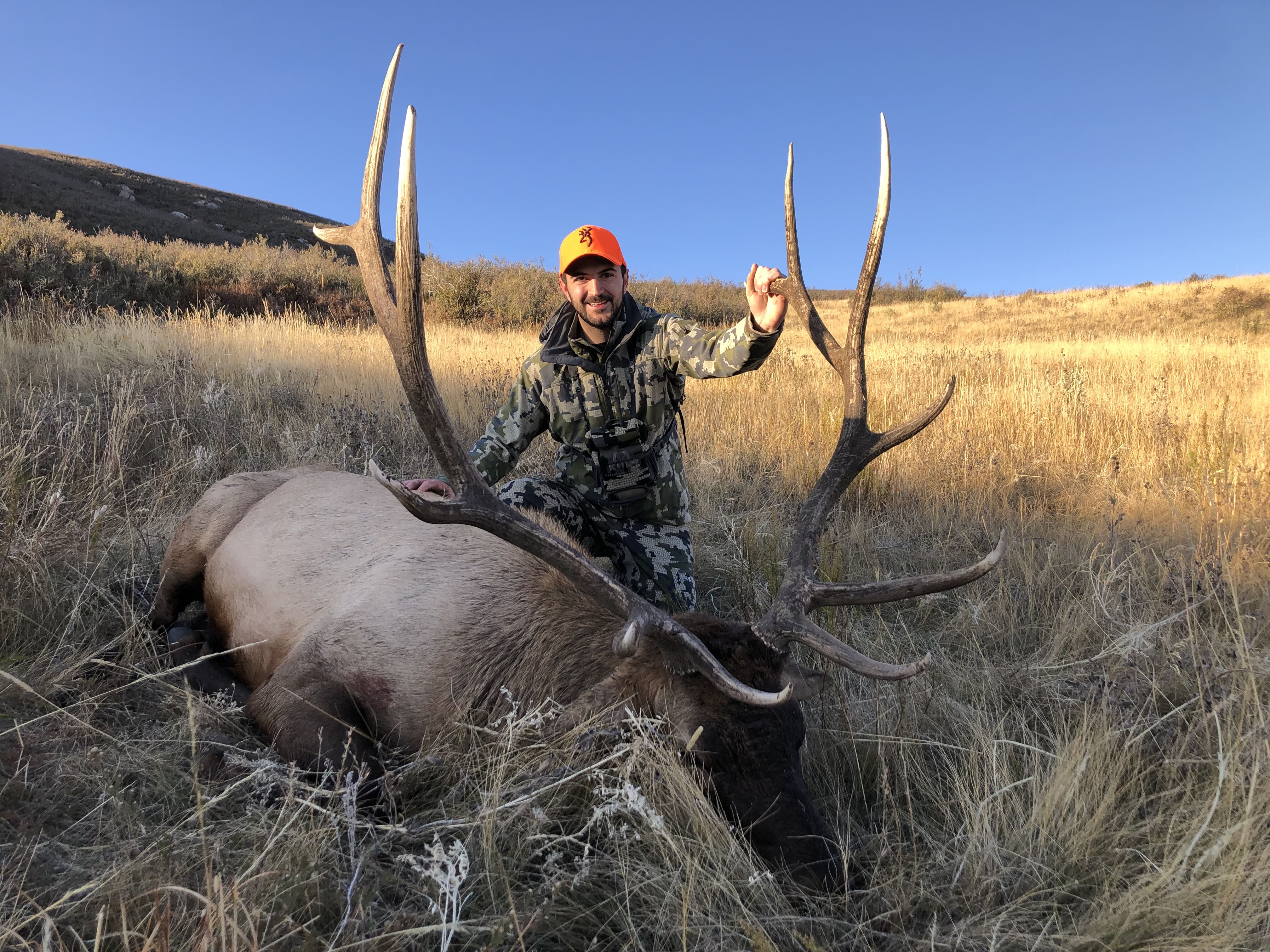 Guided Wyoming Elk Hunt
