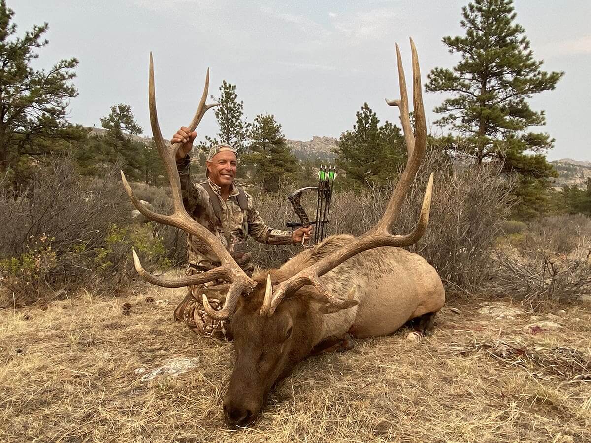 Elk Calling Strategies in Wyoming