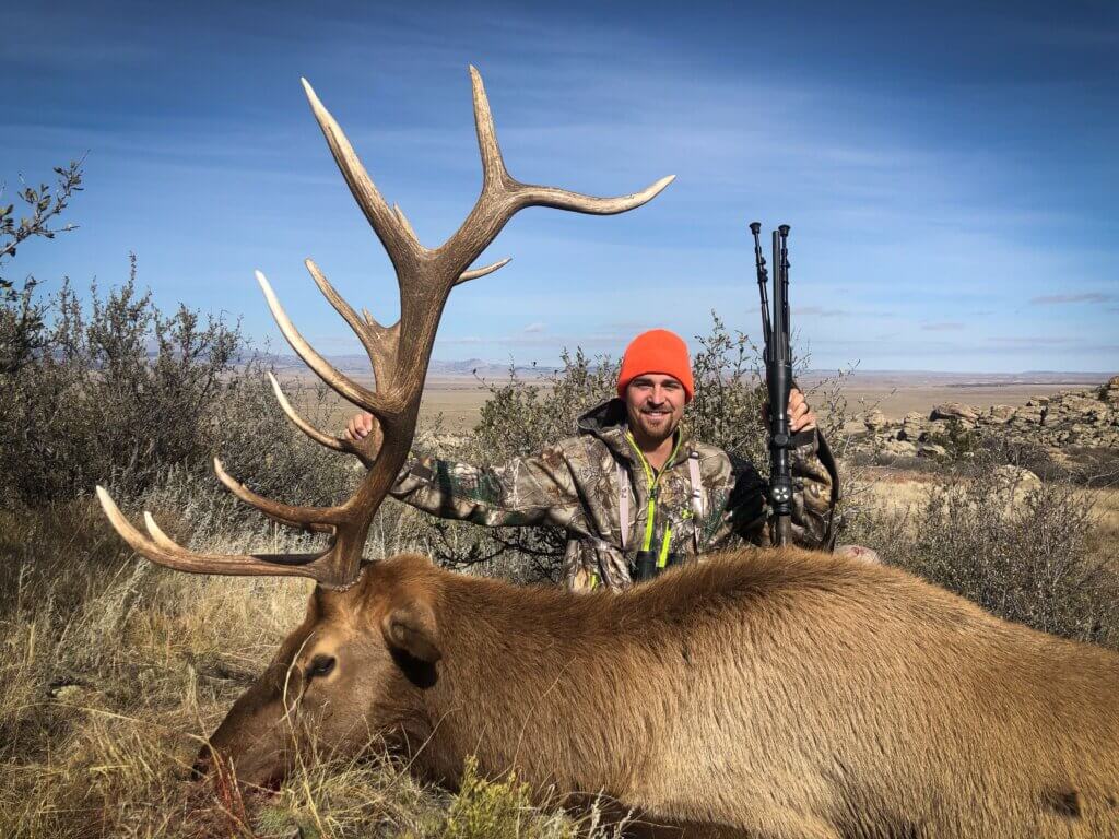 2019 Elk