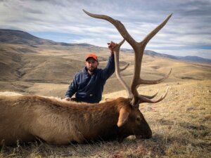 2019 Elk