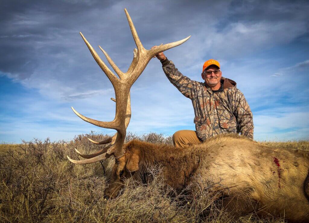 2019 Elk