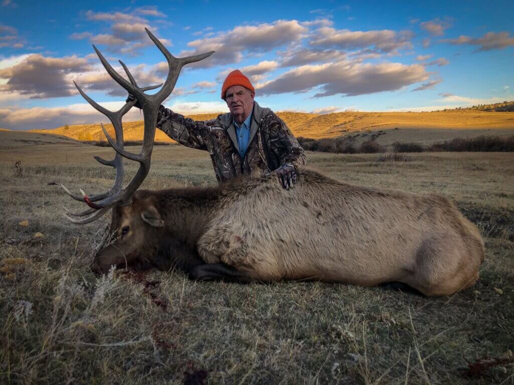 2019 Elk