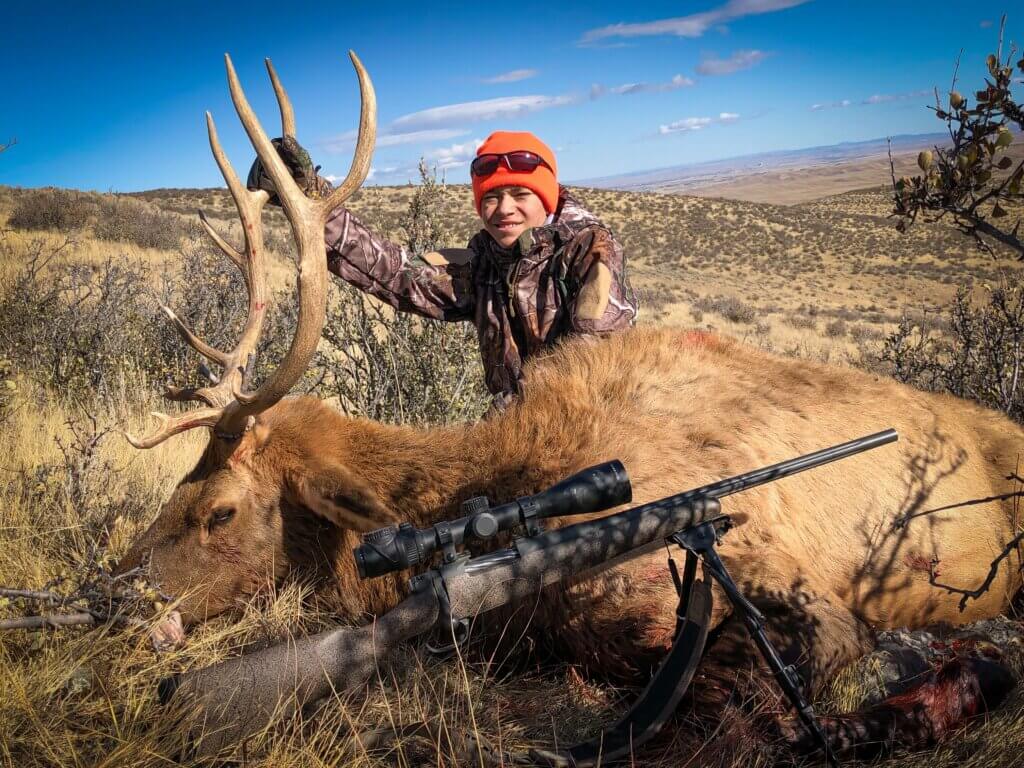 2019 Elk