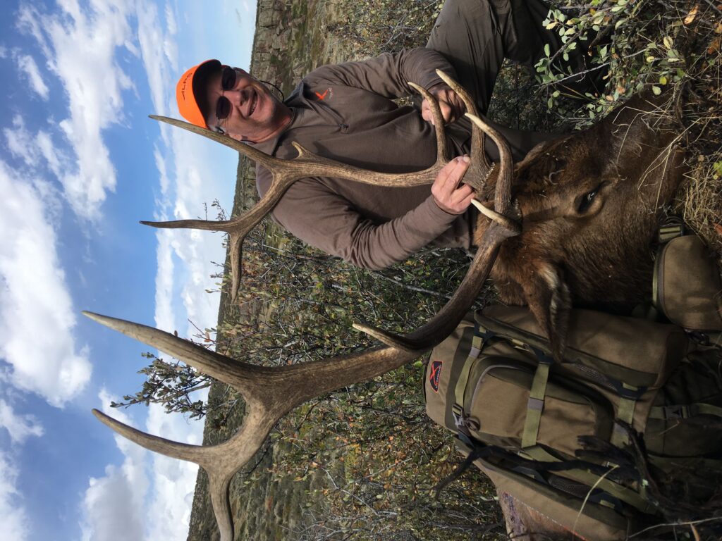 2019 Elk