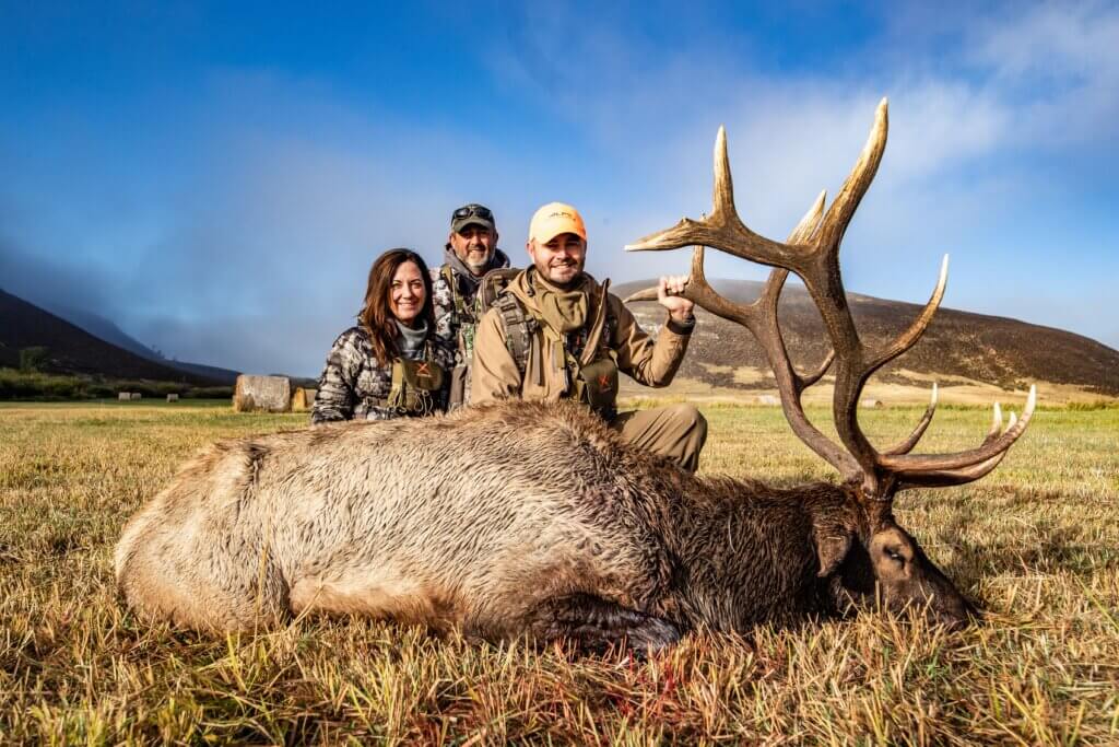 2019 Elk