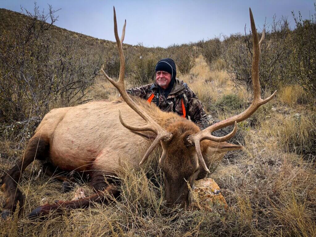 2019 Elk