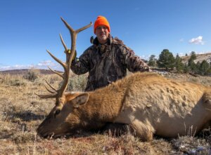 2019 Elk