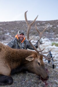 2019 Elk