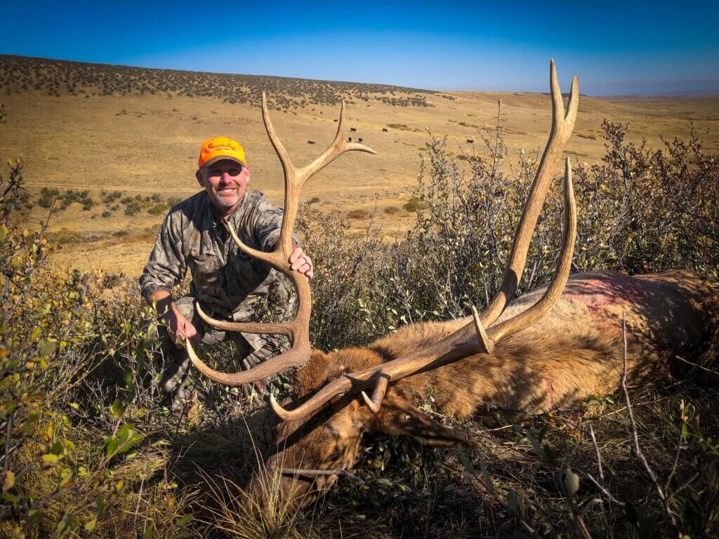 2019 Elk