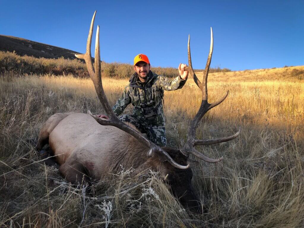 2019 Elk