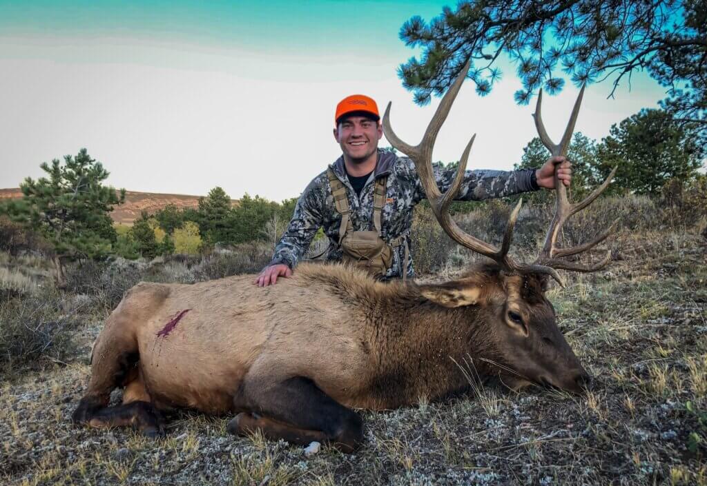 2019 Elk