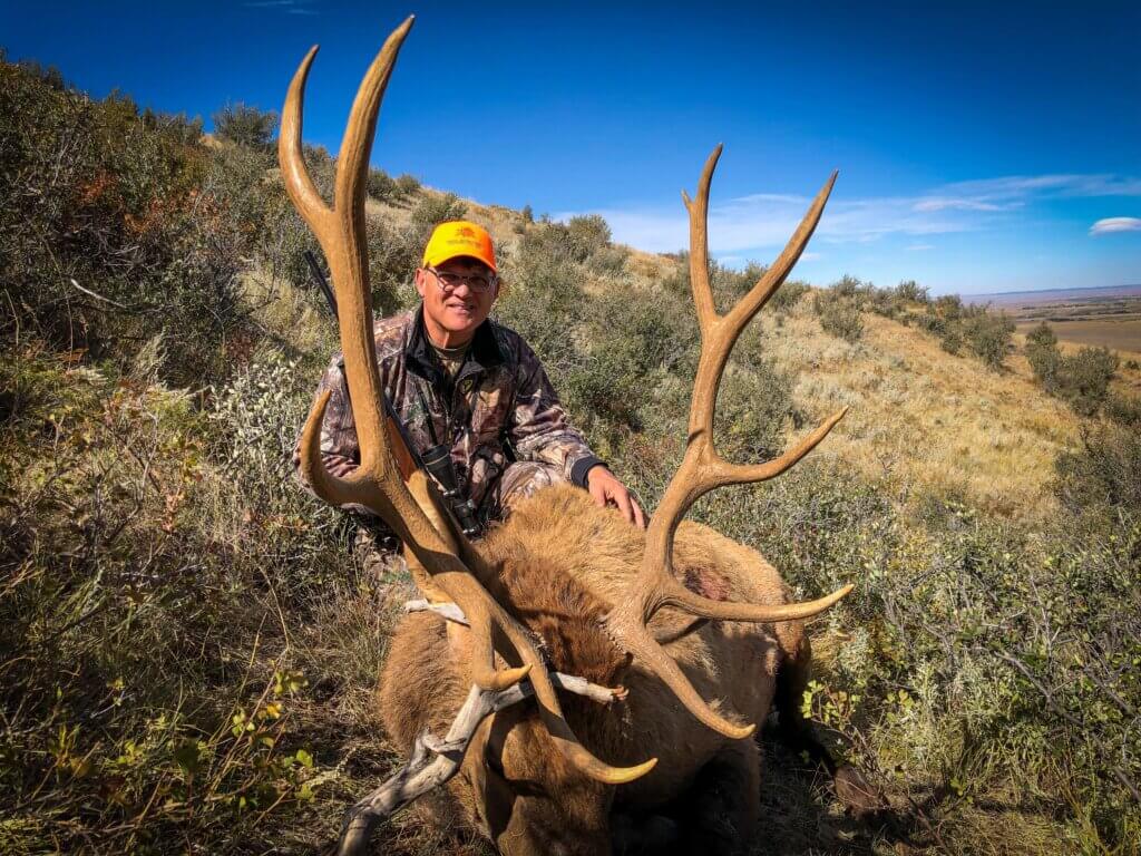 2019 Elk