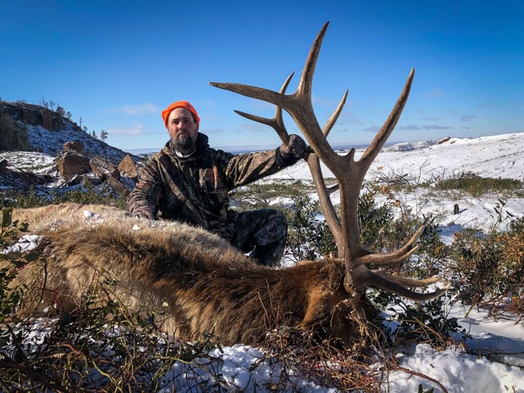 2019 Elk