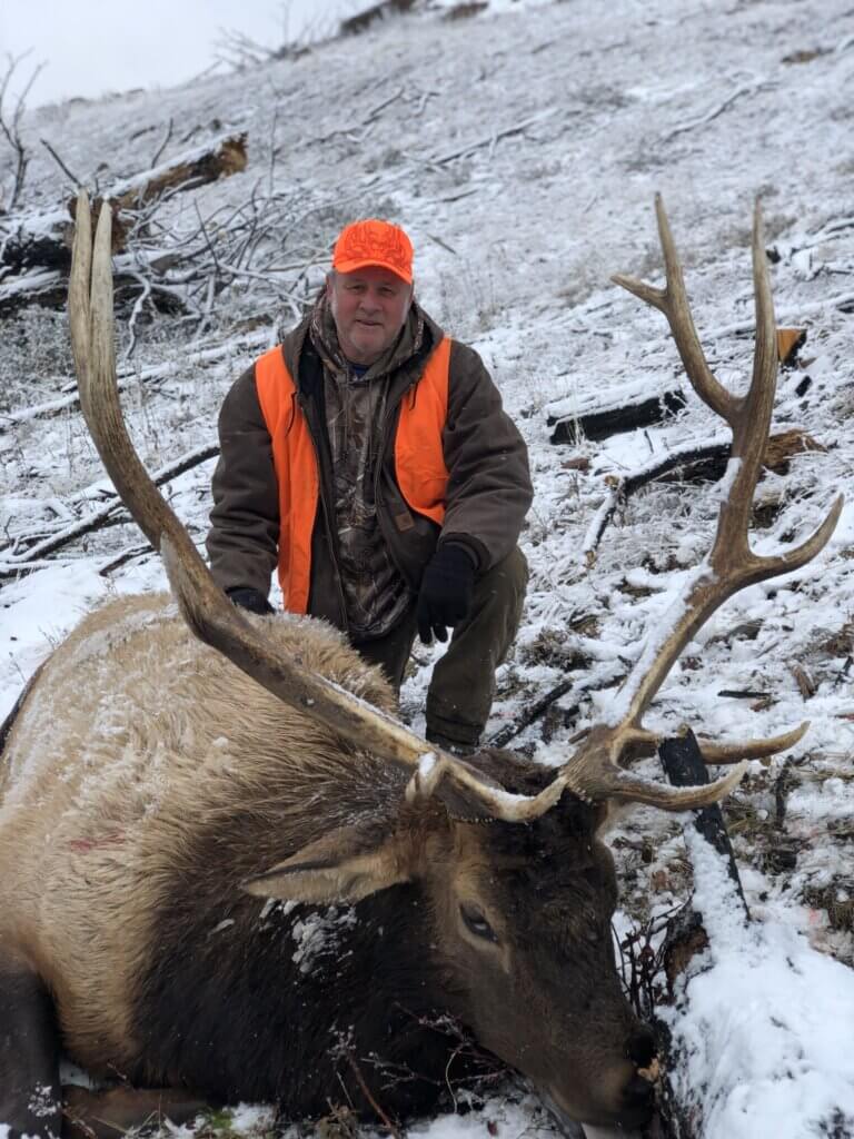 2019 Elk