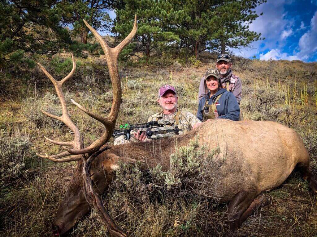 2019 Elk