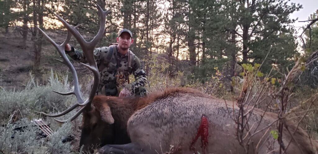 2019 Elk