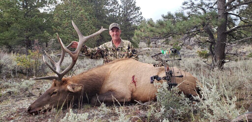 2019 Elk