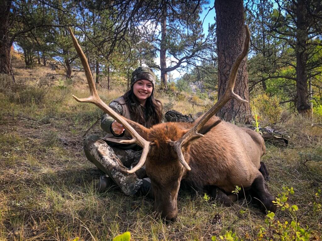 2019 Elk