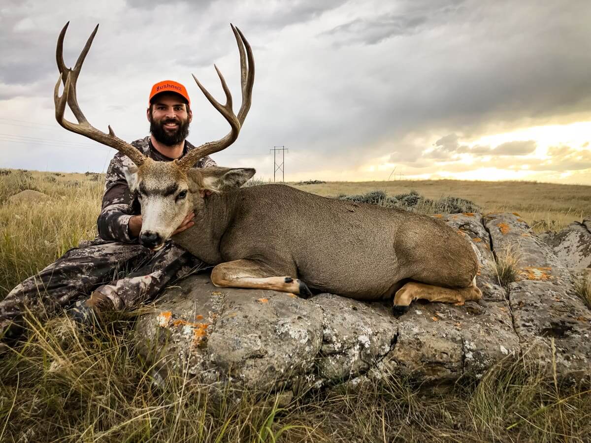 Mule Deer Hunts With Table Mountain