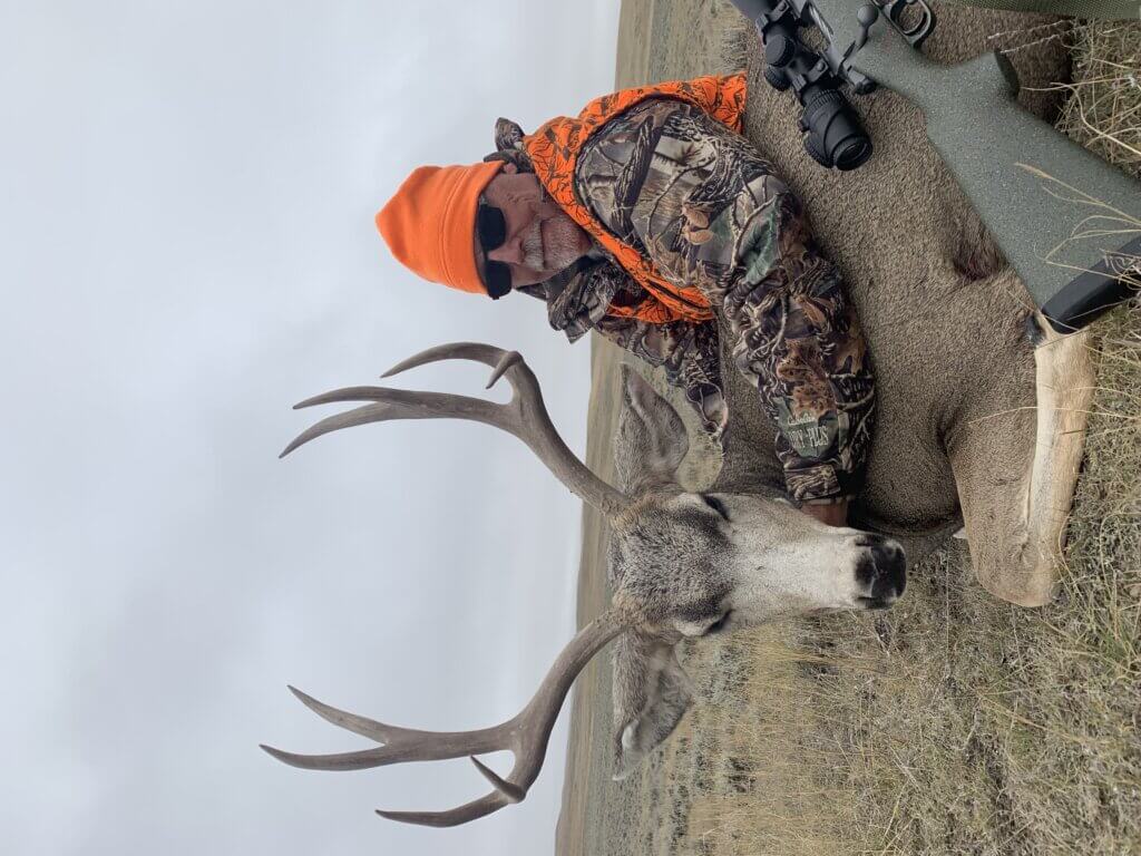 2019 Deer