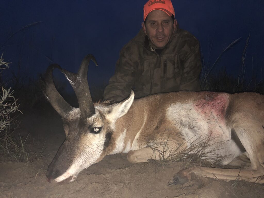 2019 Antelope