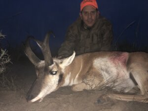 2019 Antelope