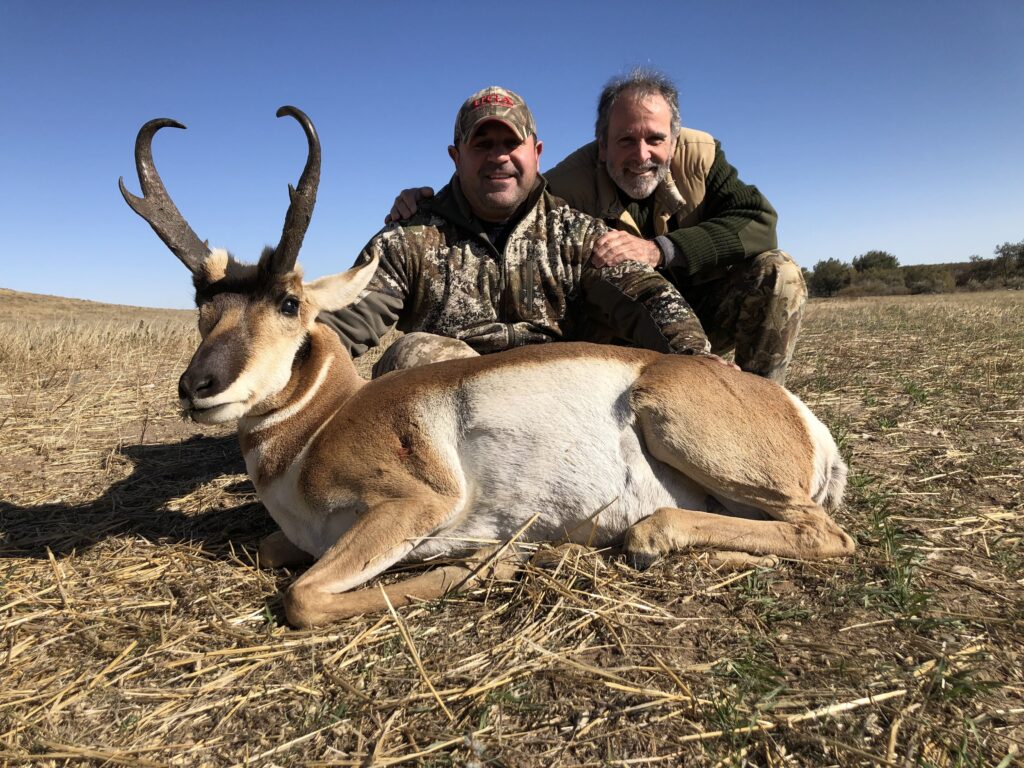 2019 Antelope