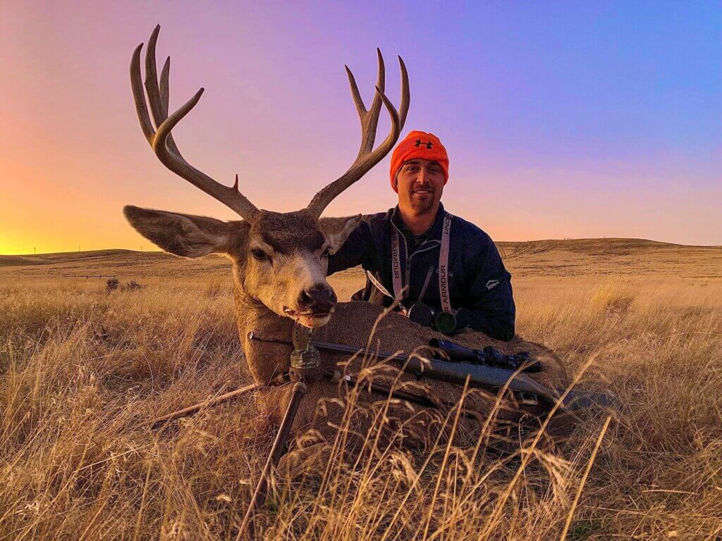 2019 Deer
