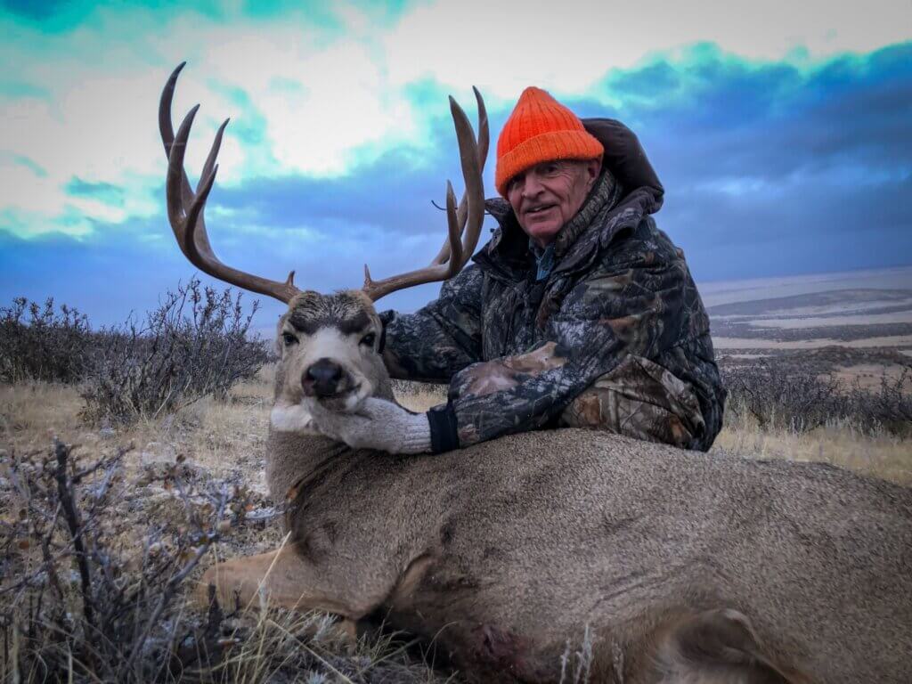 2019 Deer