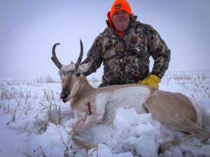 2019 Antelope