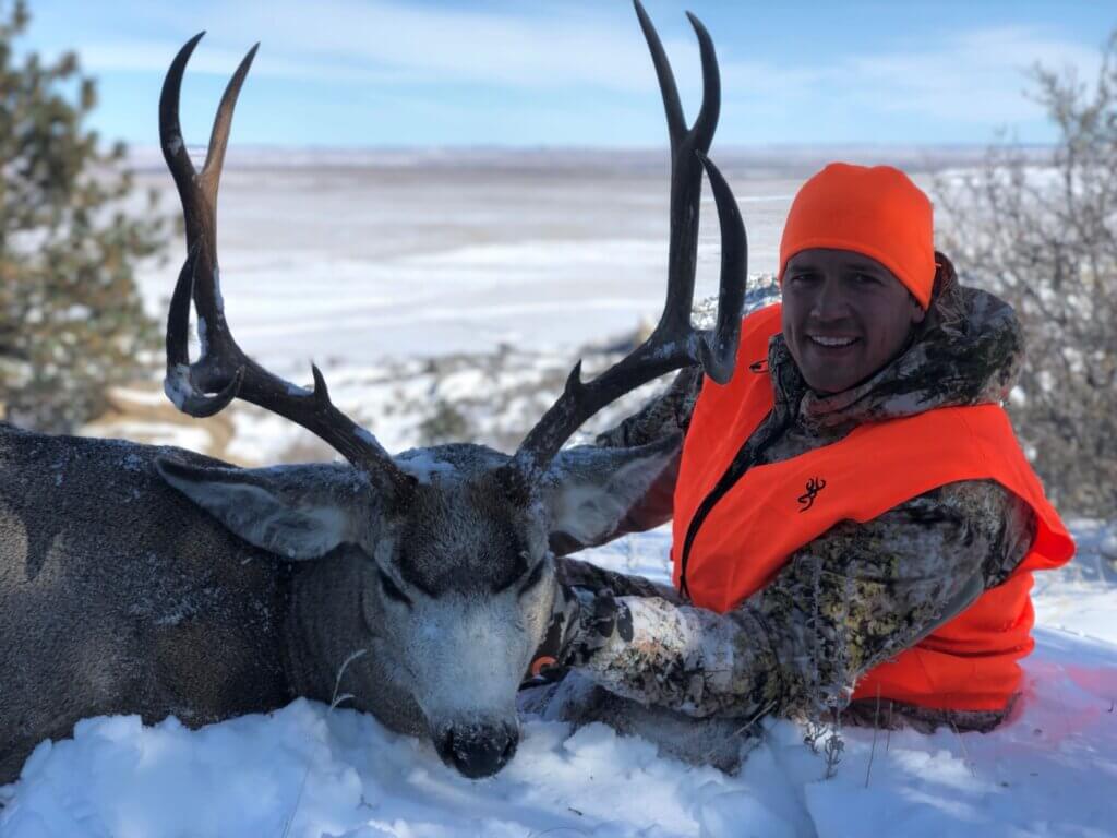 2019 Deer