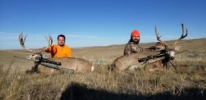 2019 Deer