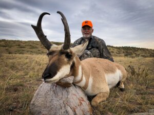 2019 Antelope