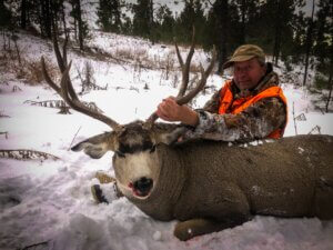 2019 Deer