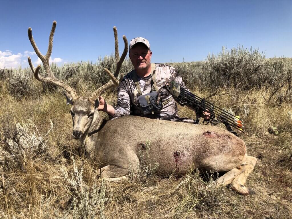 2019 Deer