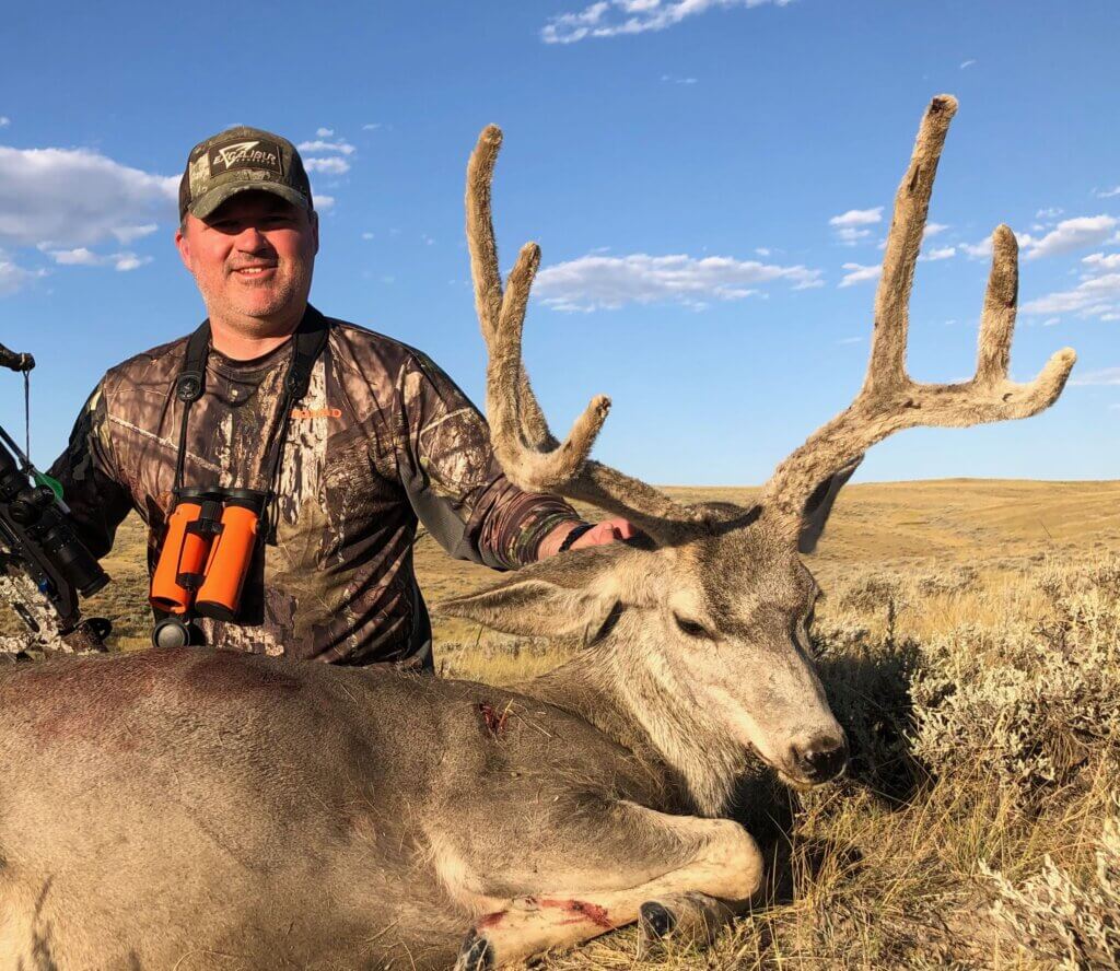 2019 Deer