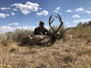 2019 Deer