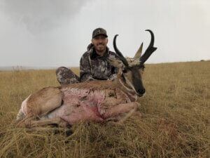 2019 Antelope