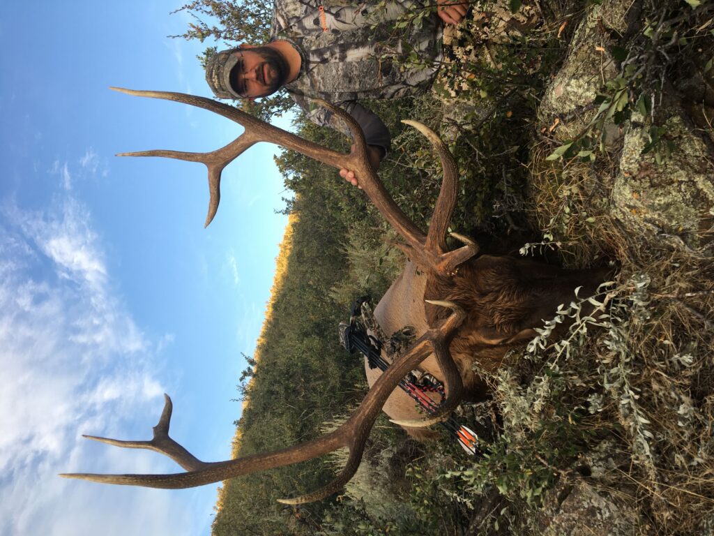2019 Elk