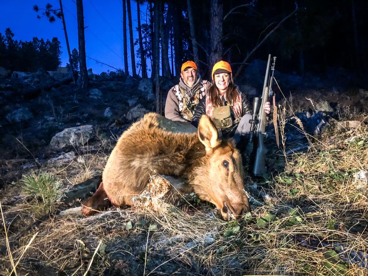 Cow Elk Hunts