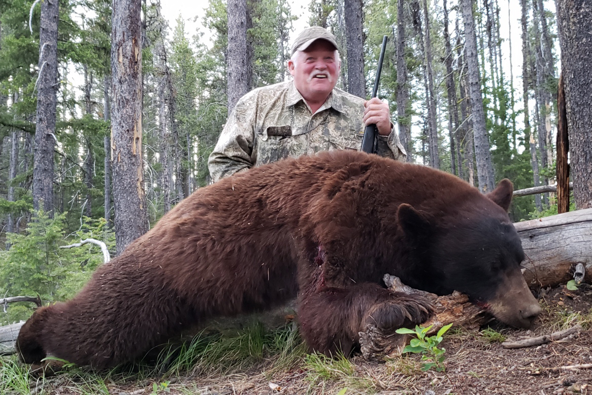 Guided Hound Hunt for Black Bears
