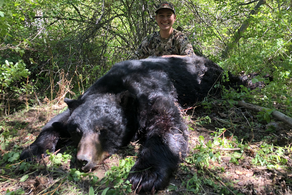 Black Bear Hunt