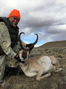 Antelope 2020